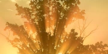 The Power of Forgiveness: Spiritual Healing and a Fulfilling Life - Cover Image