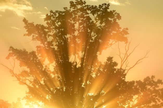 The Power of Forgiveness: Spiritual Healing and a Fulfilling Life