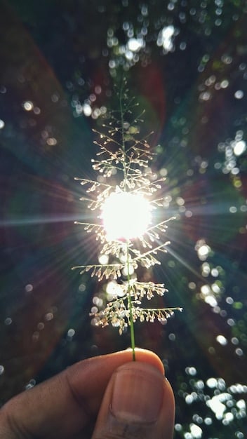 A person radiating light and energy, symbolizing the law of attraction, juxtaposed with a person planting a seed, representing karma.
