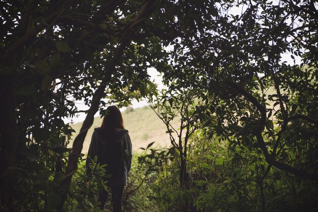 A person standing in a forest, gazing up at the tall trees and dappled sunlight filtering through the leaves, conveying a sense of awe and connection with nature.
