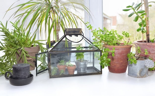 A bright and airy room with several potted plants. The plants are various sizes and types, creating a miniature indoor garden. Sunlight streams through the windows, illuminating the plants and casting dappled shadows on the floor.