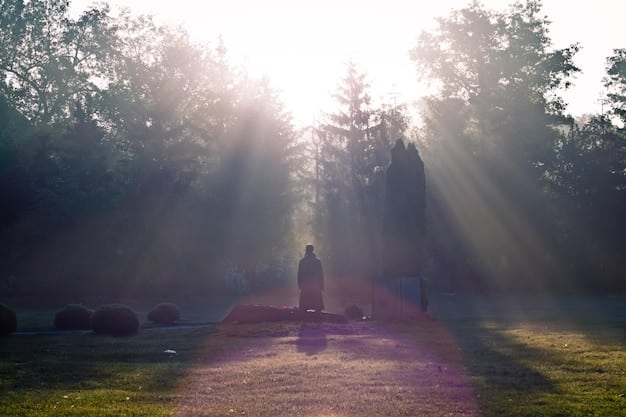 Manifest Your Dreams: A Step-by-Step Guide to Affirmations