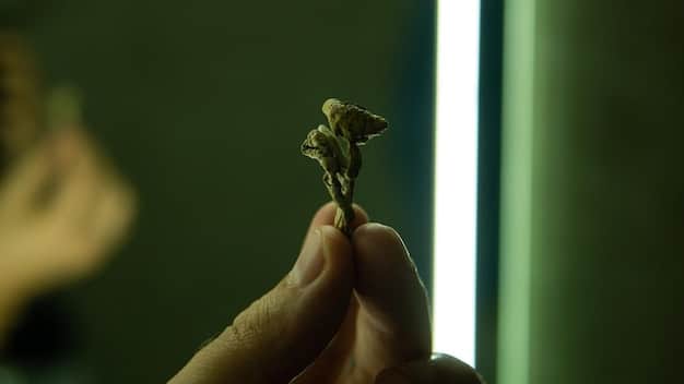A close-up of hands gently cupped, holding a small green plant seedling. Soft, natural light highlights the detail of the hands and the delicate plant, symbolizing nurturing and growth amidst sorrow.