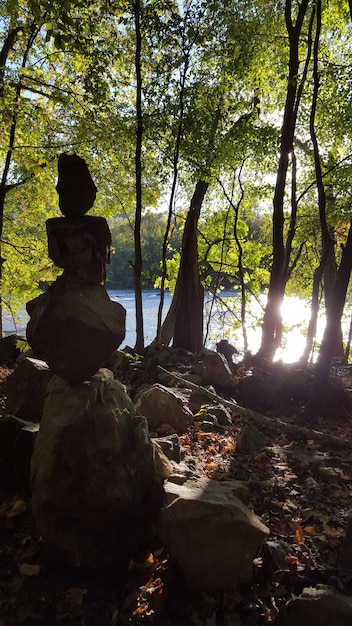 Enhance Emotional Resilience: Walking Meditation Benefits