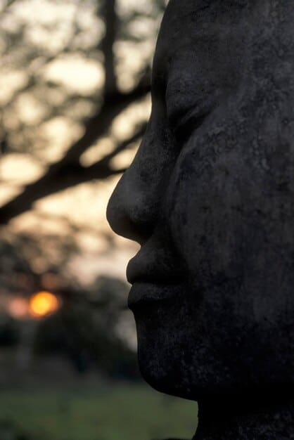 A close-up of a person's face in deep meditation, eyes closed, with a serene expression, symbolizing the insight gained through Vipassana.