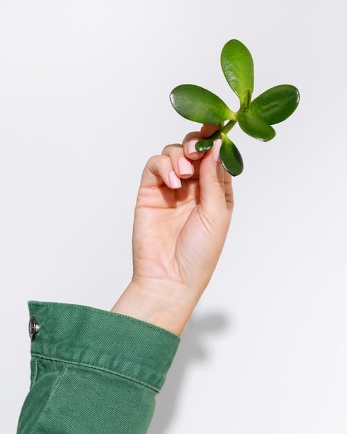 A close-up of hands gently holding a green sprout, symbolizing growth, resilience, and positive change.
