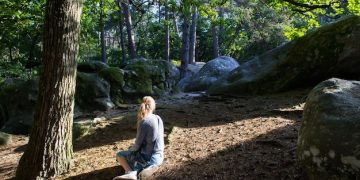 Nature Meditation: Your Guide to Outdoor Mindfulness - Cover Image