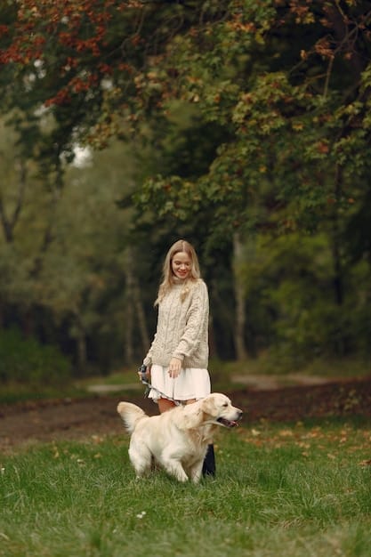 A person happily walking a golden retriever in a park. The scene is sunny and cheerful, conveying a sense of companionship and outdoor activity.