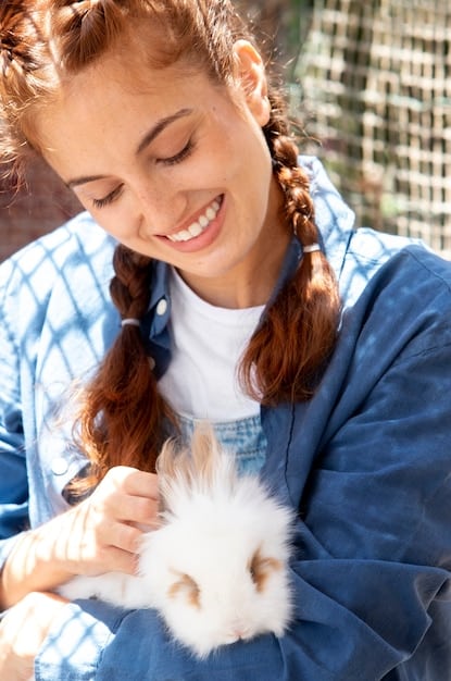 A close-up shot of a person gently holding a fluffy bunny rabbit. The rabbit looks calm and content, highlighting the gentle interaction between owner and pet.