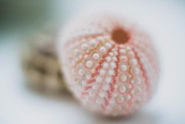A serene depiction of Cancer, symbolized by a crab, gently holding a pearl within its claws, set against a calming oceanic backdrop, exemplifying the sign's nurturing nature and dedication to emotional well-being.