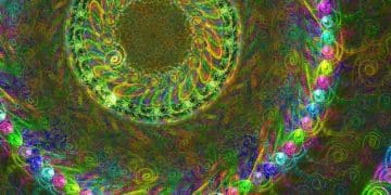 Zodiac Health Guide 2025: Wellness Tips by Sign - Cover Image