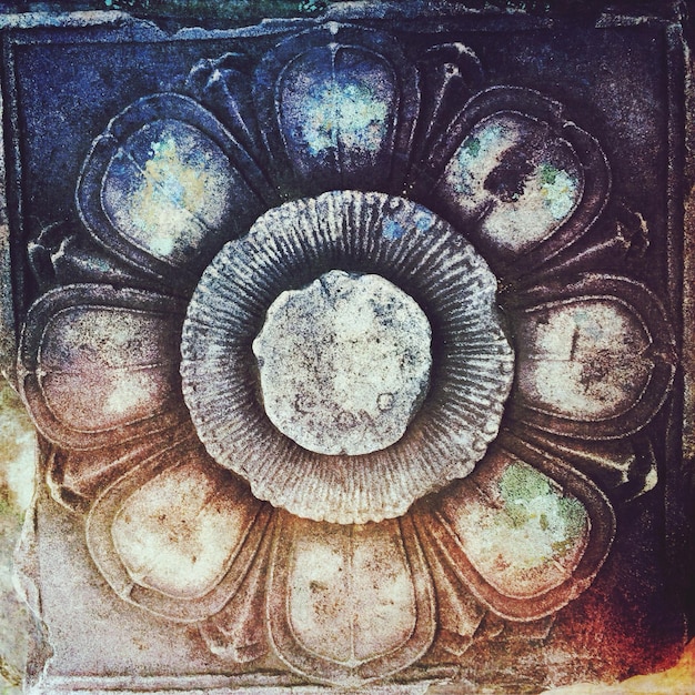 A collage featuring symbols related to each of the four astrological elements: fire (a flame), earth (a tree), air (a feather), and water (a wave).