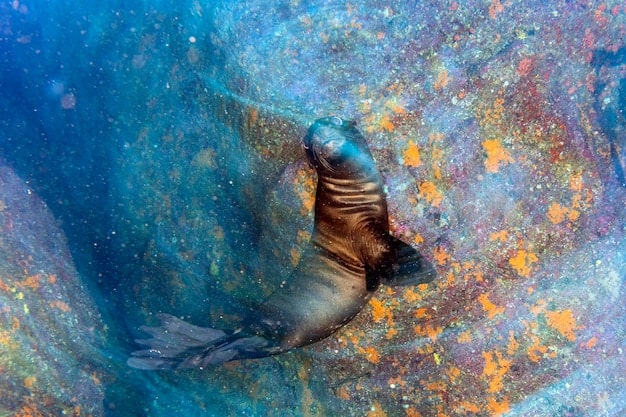 Neptune in Pisces: Unveiling 2025’s Spiritual Awakening