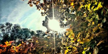 The 2025 Autumn Equinox: Embracing Balance and Harmony in the US - Cover Image