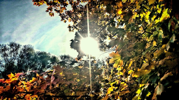 The 2025 Autumn Equinox: Embracing Balance and Harmony in the US