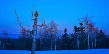 The 2025 Winter Solstice: A Guide to Darkness and Introspection - Cover Image