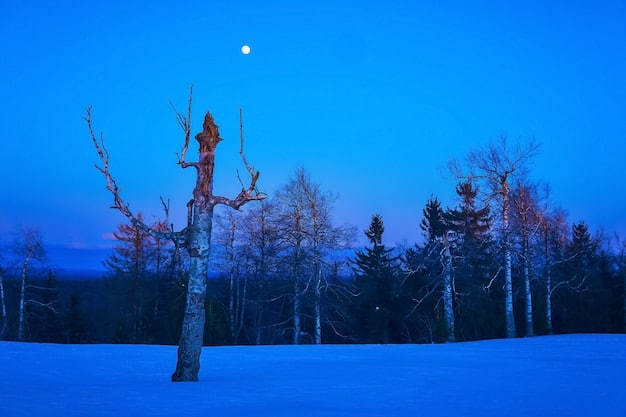 The 2025 Winter Solstice: A Guide to Darkness and Introspection