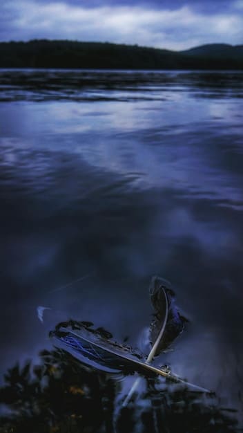 Chiron in Pisces: Healing Emotional Wounds in 2025