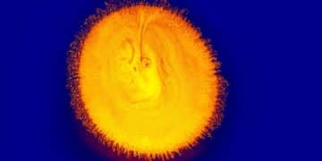 Venus Transit 2025: Cosmic Love Predictions & Relationship Insights - Cover Image