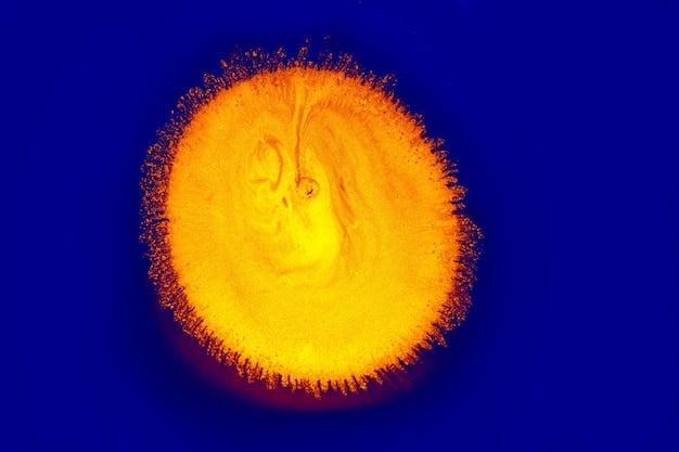 Venus Transit 2025: Cosmic Love Predictions & Relationship Insights