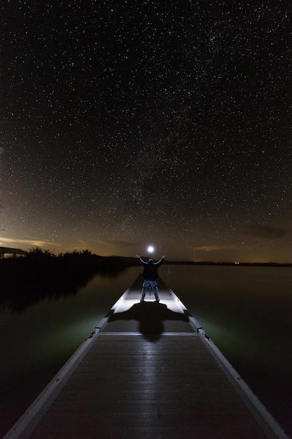 2025 Meteor Showers Guide: Best Viewing Dates & Locations in the US