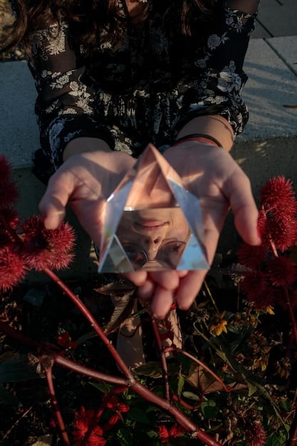 A close-up image of a person's hands holding a collection of crystals under the moonlight. The crystals are various colors and shapes, and the moonlight casts a soft glow on them. The background is a blurred, natural setting.