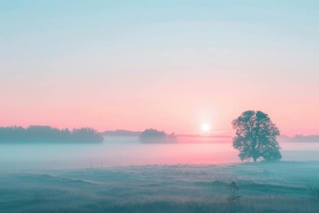 Unlock Inner Peace: A Guide to Forgiveness and Healing