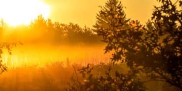 Nature's Impact: A 3-Month Study on Spiritual Well-being - Cover Image