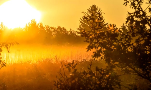 Nature’s Impact: A 3-Month Study on Spiritual Well-being