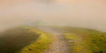 Exploring Karma: Cause and Effect in Your Life - Cover Image