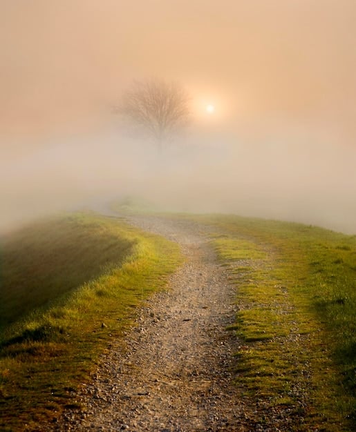 Exploring Karma: Cause and Effect in Your Life