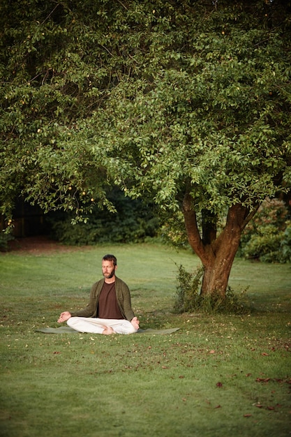 A person meditating peacefully under a Bodhi tree, symbolizing enlightenment and the understanding of karmic principles.