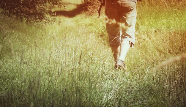 A person walking barefoot on a grassy field, surrounded by trees and sunlight, illustrating the importance of connecting with nature for spiritual well-being.