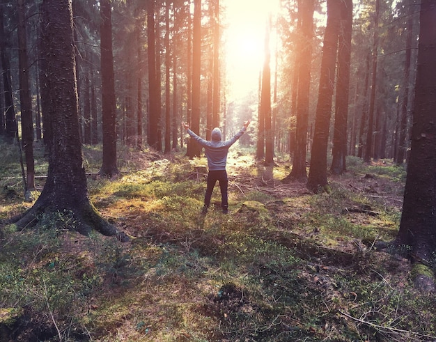 A person standing in a forest with arms raised towards the sky, bathed in sunlight filtering through the trees. The scene should evoke awe and a connection with nature.