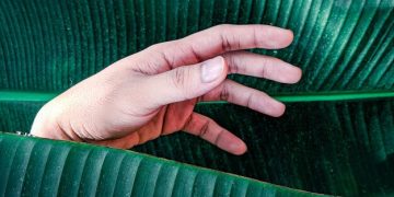 Mudra Meditation: Enhance Focus & Deepen Your Practice - Cover Image