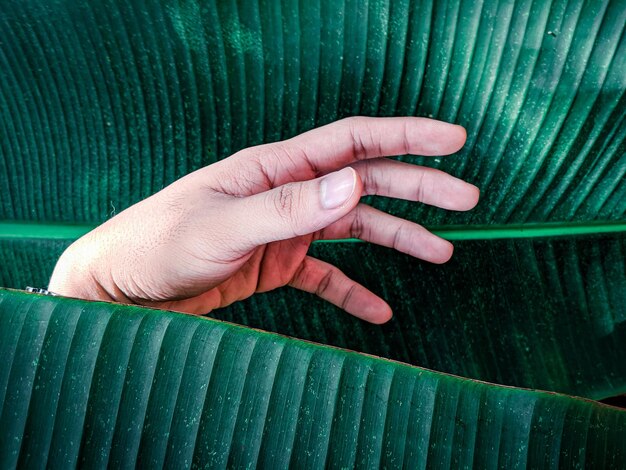 Mudra Meditation: Enhance Focus & Deepen Your Practice