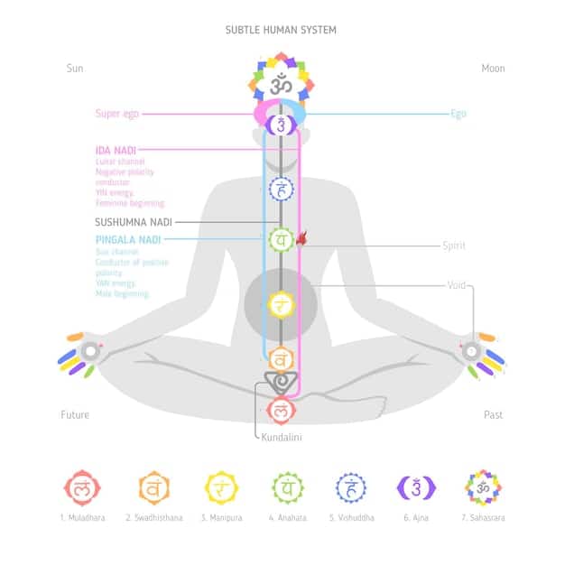A beautifully illustrated diagram showing the locations of the seven chakras along the spine, each with its corresponding color and symbol.