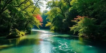Karmic patterns ancestral release: break the cycle