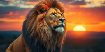 Personality traits and strengths of Leo in the spotlight