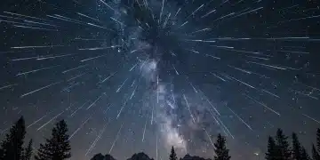 Vibrant meteor streaks from the Quadrantid shower illuminate a dark night sky above silhouetted trees.